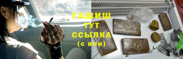 индика Абинск
