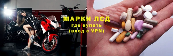 индика Абинск