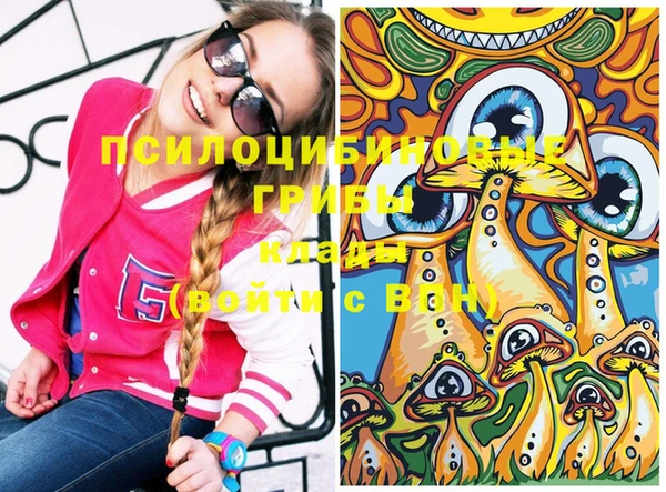 индика Абинск