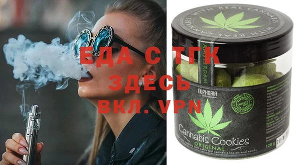 индика Абинск