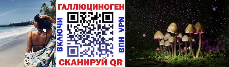 как найти закладки Новотитаровская Псилоцибиновые грибы Cubensis